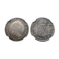 (Lote 171 a 272) Bustos Plata